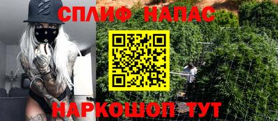 индика Новозыбков
