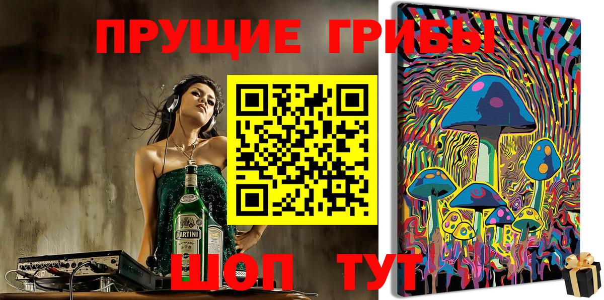 Сергиев Посад  Галлюциногенные грибы Magic Shrooms  где найти   Вход с VPN  Галлюциногенные грибы Psilocybine cubensis 