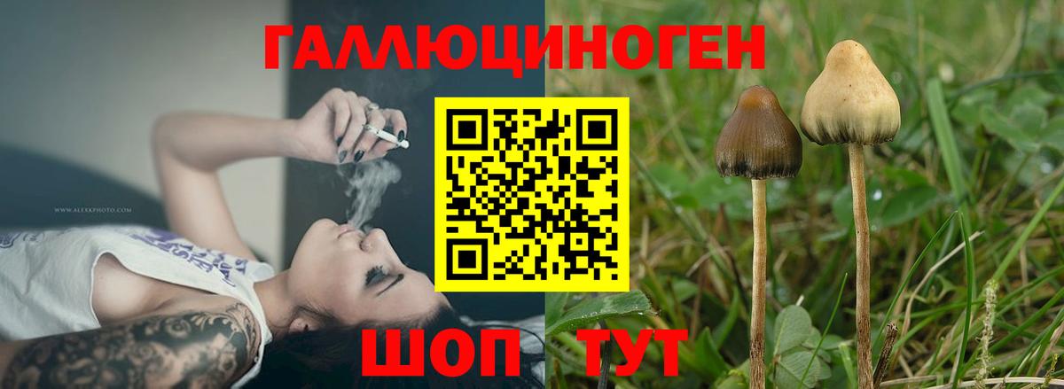 Псилоцибиновые грибы GOLDEN TEACHER Сергиев Посад